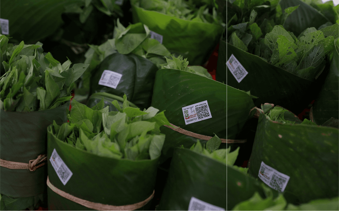 4. Leafy Greens: Hydration with Nutrition